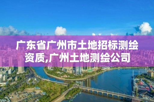 广东省广州市土地招标测绘资质,广州土地测绘公司