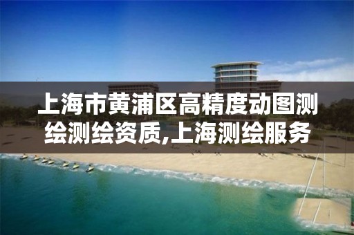 上海市黄浦区高精度动图测绘测绘资质,上海测绘服务基准平台