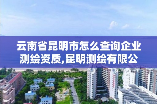 云南省昆明市怎么查询企业测绘资质,昆明测绘有限公司