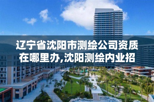 辽宁省沈阳市测绘公司资质在哪里办,沈阳测绘内业招聘信息