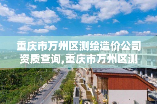 重庆市万州区测绘造价公司资质查询,重庆市万州区测绘造价公司资质查询电话