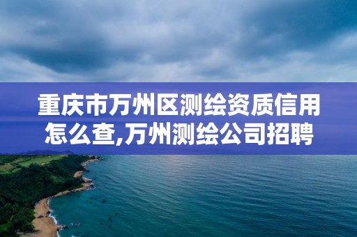 重庆市万州区测绘资质信用怎么查,万州测绘公司招聘