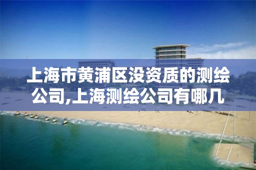 上海市黄浦区没资质的测绘公司,上海测绘公司有哪几家