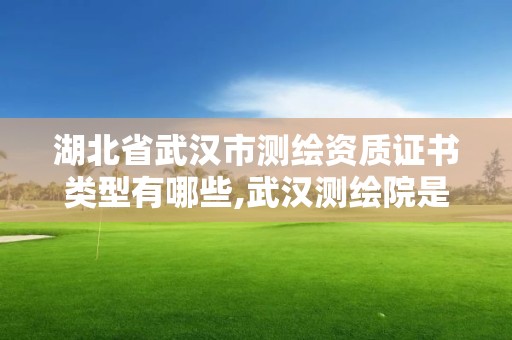 湖北省武汉市测绘资质证书类型有哪些,武汉测绘院是什么级别。