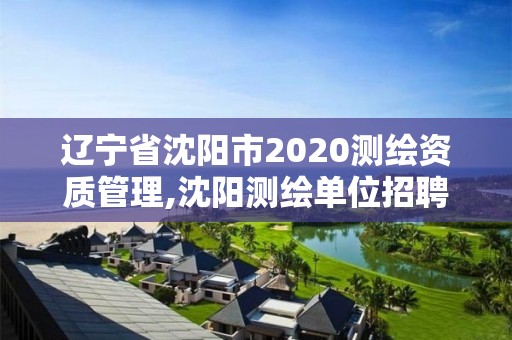 辽宁省沈阳市2020测绘资质管理,沈阳测绘单位招聘