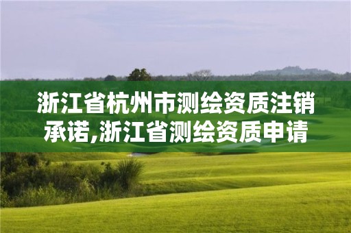 浙江省杭州市测绘资质注销承诺,浙江省测绘资质申请需要什么条件