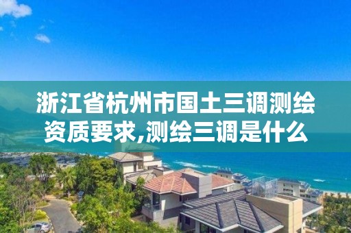 浙江省杭州市国土三调测绘资质要求,测绘三调是什么意思。