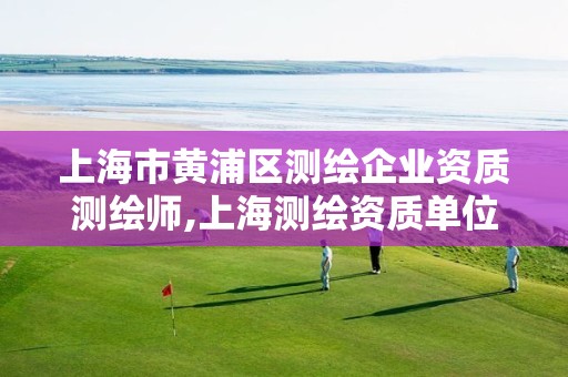 上海市黄浦区测绘企业资质测绘师,上海测绘资质单位