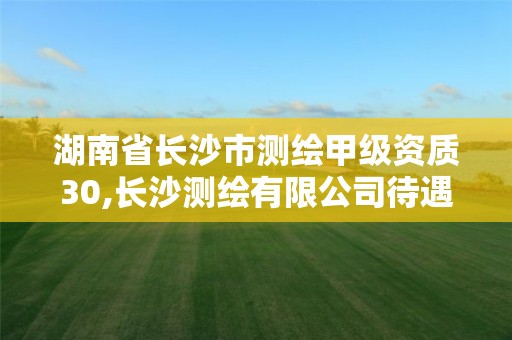 湖南省长沙市测绘甲级资质30,长沙测绘有限公司待遇