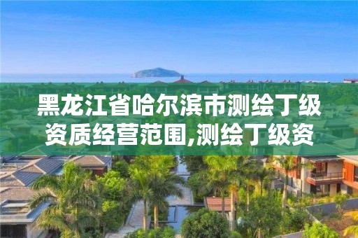 黑龙江省哈尔滨市测绘丁级资质经营范围,测绘丁级资质承接业务范围