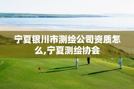 宁夏银川市测绘公司资质怎么,宁夏测绘协会