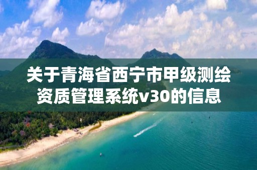 关于青海省西宁市甲级测绘资质管理系统v30的信息