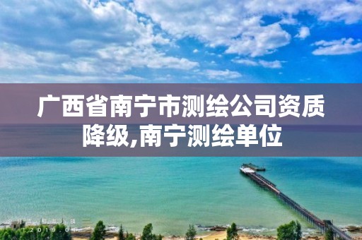 广西省南宁市测绘公司资质降级,南宁测绘单位