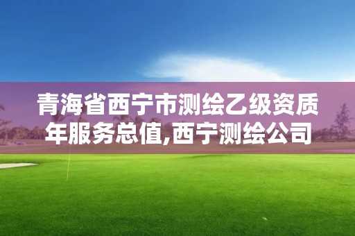 青海省西宁市测绘乙级资质年服务总值,西宁测绘公司联系方式。