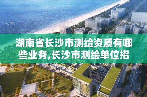 湖南省长沙市测绘资质有哪些业务,长沙市测绘单位招聘