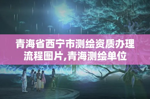 青海省西宁市测绘资质办理流程图片,青海测绘单位