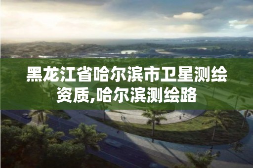 黑龙江省哈尔滨市卫星测绘资质,哈尔滨测绘路