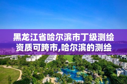 黑龙江省哈尔滨市丁级测绘资质可跨市,哈尔滨的测绘公司有哪些