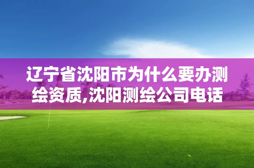 辽宁省沈阳市为什么要办测绘资质,沈阳测绘公司电话