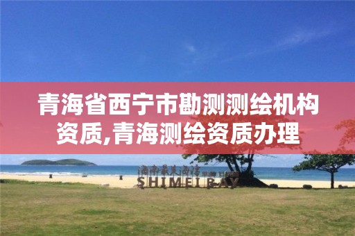 青海省西宁市勘测测绘机构资质,青海测绘资质办理