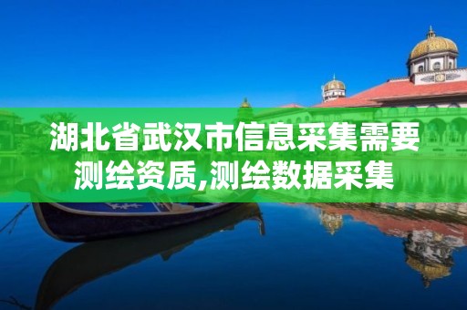 湖北省武汉市信息采集需要测绘资质,测绘数据采集