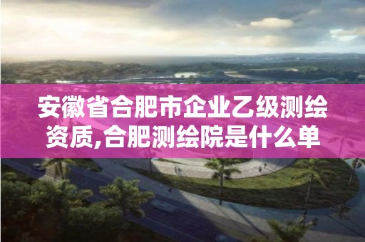 安徽省合肥市企业乙级测绘资质,合肥测绘院是什么单位。