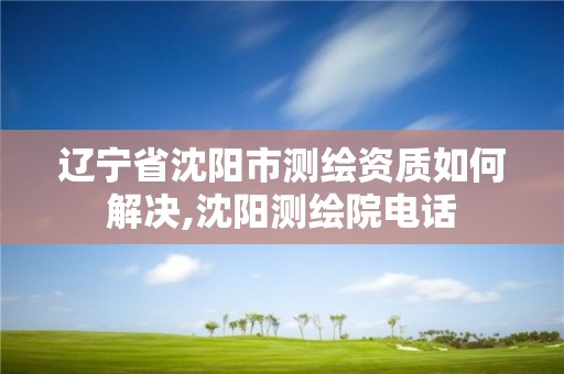 辽宁省沈阳市测绘资质如何解决,沈阳测绘院电话