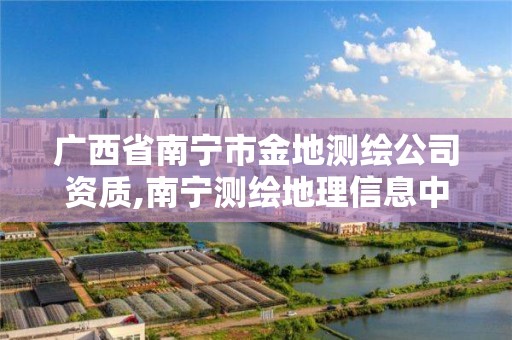 广西省南宁市金地测绘公司资质,南宁测绘地理信息中心。