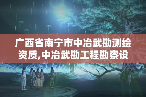 广西省南宁市中冶武勘测绘资质,中冶武勘工程勘察设计院