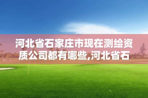 河北省石家庄市现在测绘资质公司都有哪些,河北省石家庄市现在测绘资质公司都有哪些