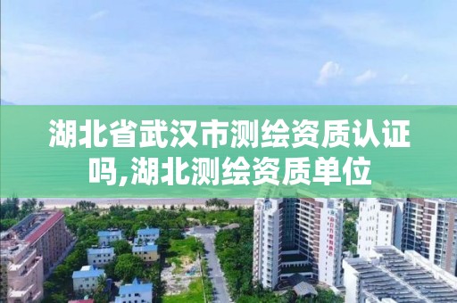 湖北省武汉市测绘资质认证吗,湖北测绘资质单位