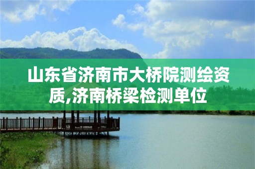 山东省济南市大桥院测绘资质,济南桥梁检测单位