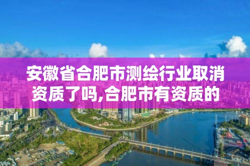 安徽省合肥市测绘行业取消资质了吗,合肥市有资质的测绘公司