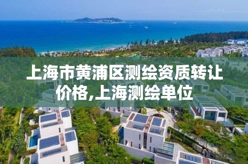 上海市黄浦区测绘资质转让价格,上海测绘单位