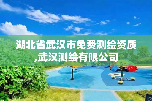 湖北省武汉市免费测绘资质,武汉测绘有限公司