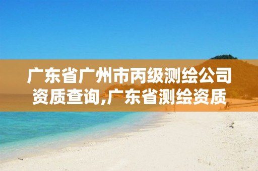 广东省广州市丙级测绘公司资质查询,广东省测绘资质办理流程