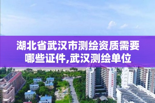 湖北省武汉市测绘资质需要哪些证件,武汉测绘单位