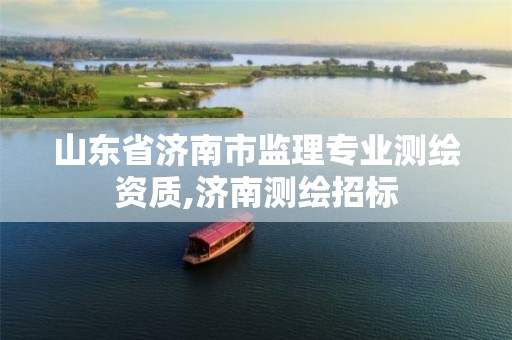 山东省济南市监理专业测绘资质,济南测绘招标