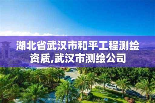 湖北省武汉市和平工程测绘资质,武汉市测绘公司