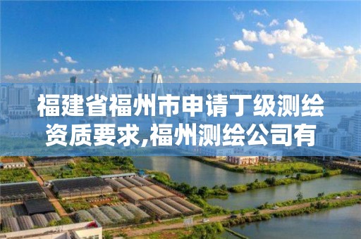 福建省福州市申请丁级测绘资质要求,福州测绘公司有几家。