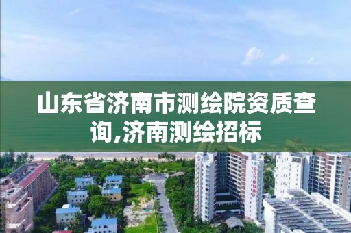 山东省济南市测绘院资质查询,济南测绘招标