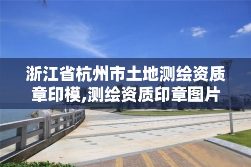 浙江省杭州市土地测绘资质章印模,测绘资质印章图片