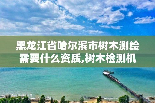 黑龙江省哈尔滨市树木测绘需要什么资质,树木检测机构