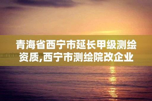 青海省西宁市延长甲级测绘资质,西宁市测绘院改企业