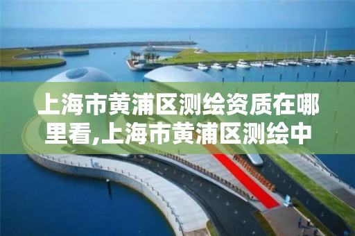 上海市黄浦区测绘资质在哪里看,上海市黄浦区测绘中心