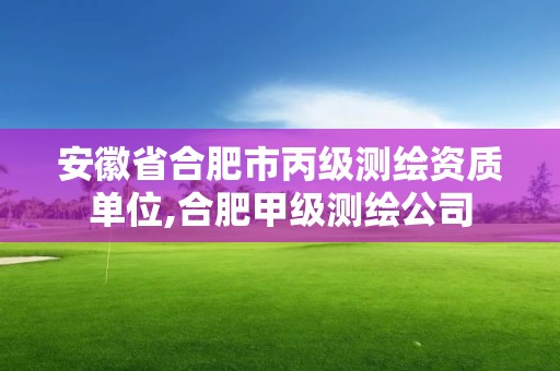 安徽省合肥市丙级测绘资质单位,合肥甲级测绘公司