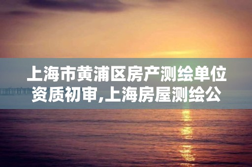 上海市黄浦区房产测绘单位资质初审,上海房屋测绘公司有哪几家