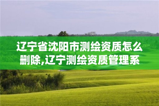 辽宁省沈阳市测绘资质怎么删除,辽宁测绘资质管理系统登录