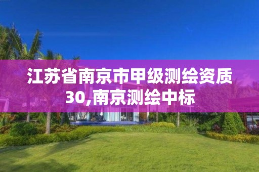 江苏省南京市甲级测绘资质30,南京测绘中标