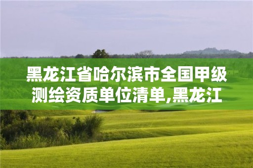 黑龙江省哈尔滨市全国甲级测绘资质单位清单,黑龙江测绘公司乙级资质。